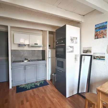 Apartment In Quiet And Convenient Ajaccio (Corsica)